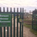 Stewart Avenue Allotments open day